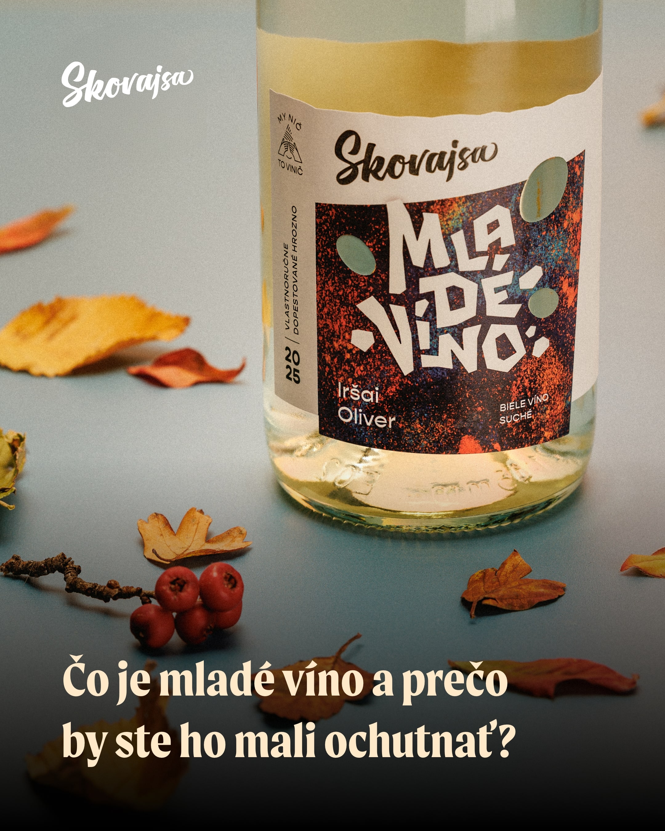 REELS -čo je mlade vino nahladovy-min